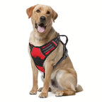 Reflective No-Pull Safety Harness
