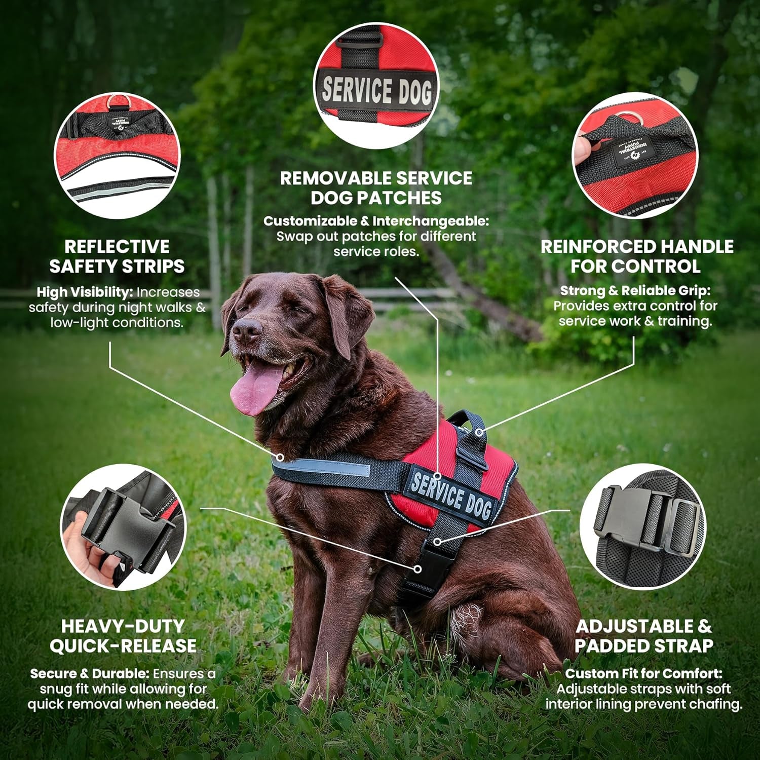 Professional Adjustable Service Dog Harness with Handle - 8 Size Options (XXXS to XXL) - Reflective Patch and Comfortable Mesh Design in Vibrant Red