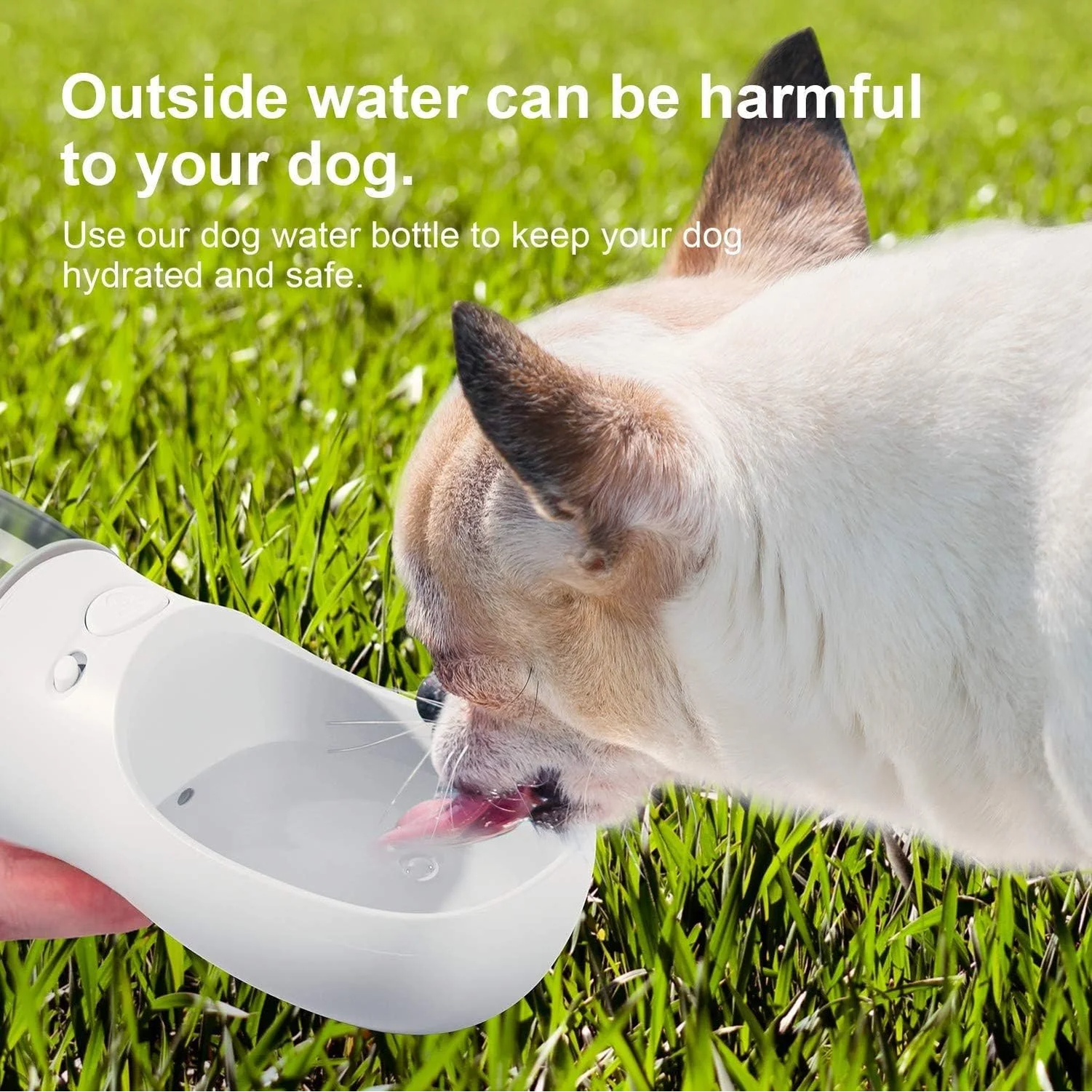 Portable Dog Water Bottle with Feeder