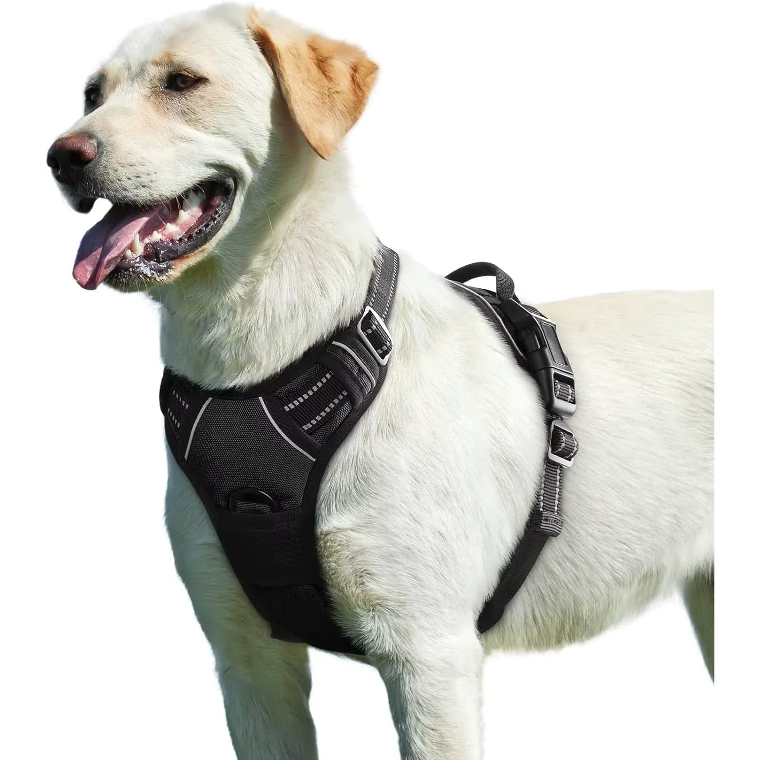Padded Reflective Control Dog Harness