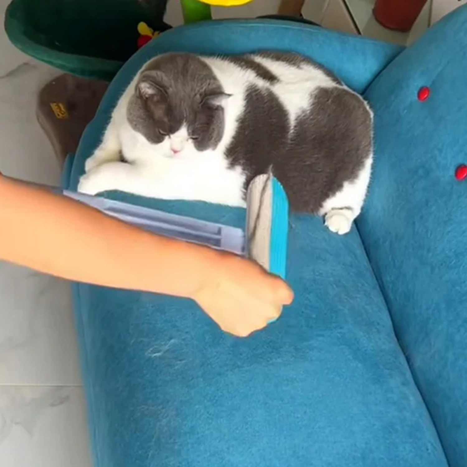 4-in-1 Pet Hair & Screen Cleaner