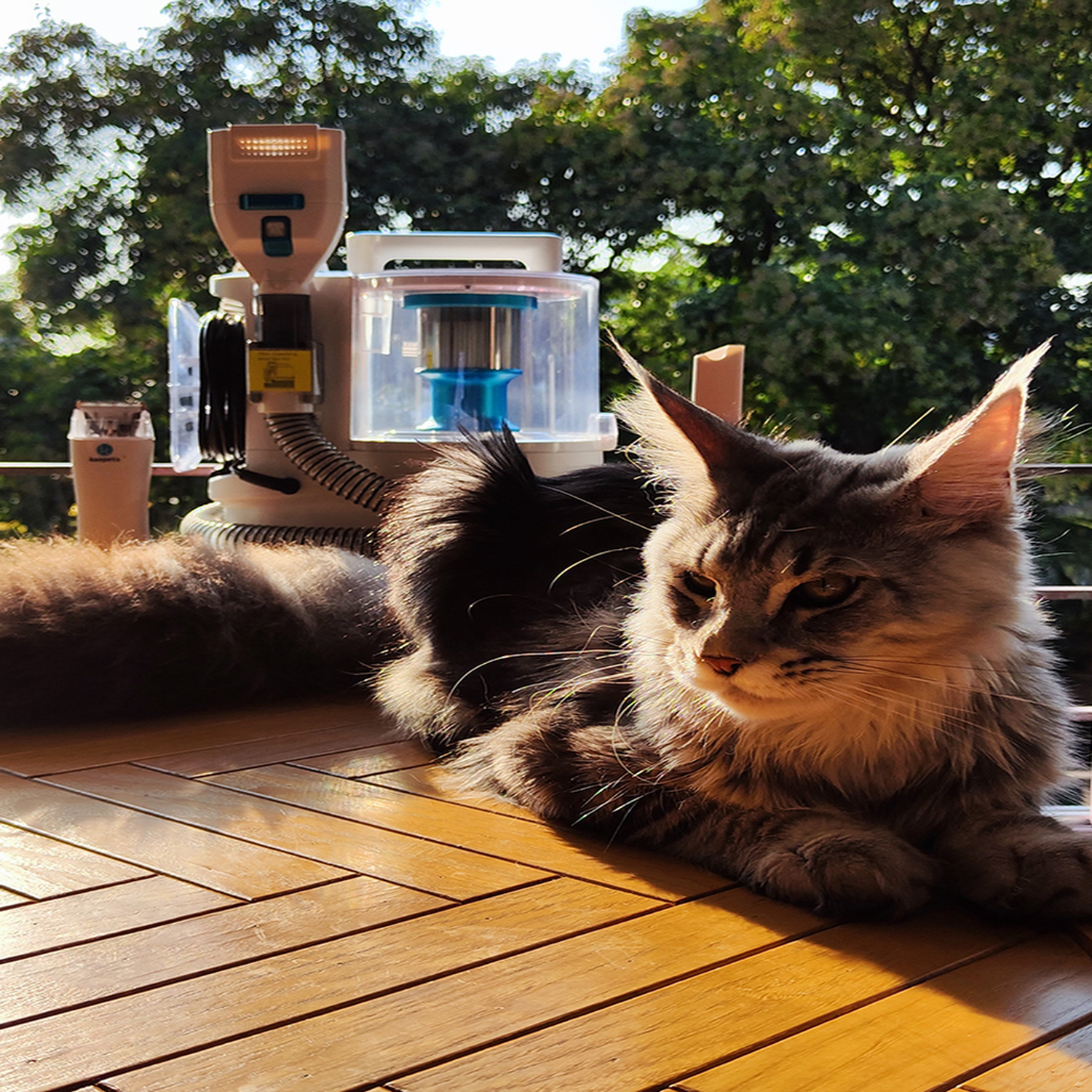 7 in 1 Pet Cleaning Comb Vacuum Cleaner