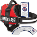 Professional Adjustable Dog Harness with Handle 
