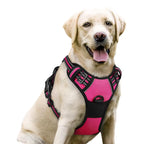 Reflective No-Pull Safety Harness