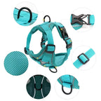 Adjustable Mesh Harness & Leash