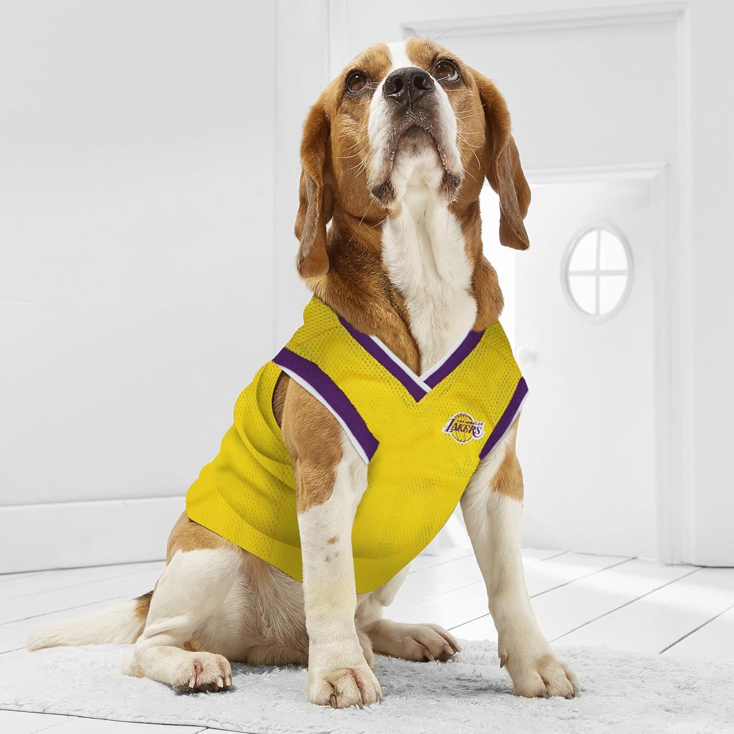 Los Angeles Lakers NBA Dog Jersey - Large Pet Basketball Tank Top