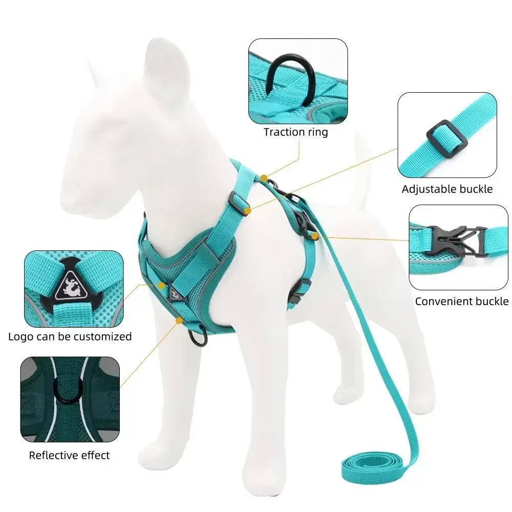 Adjustable Mesh Harness & Leash
