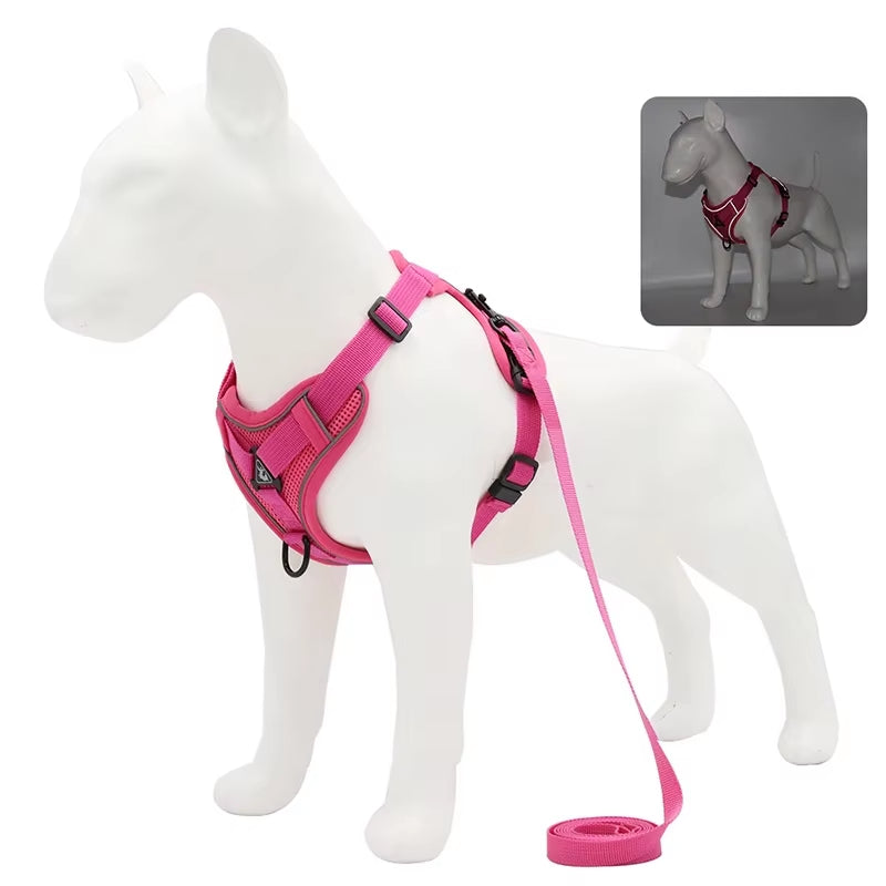 Adjustable Mesh Harness & Leash